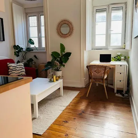 Warm & Vibrant Cosy